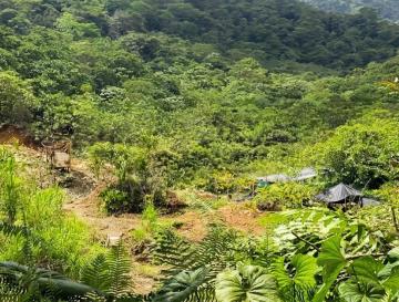 LA CVC DETECTA SEÑALES DE REACTIVACIÓN MINERA ILEGAL EN RÍO DAGUA