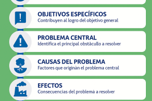 Gestión de Proyectos > Documentos (Paragraphs)