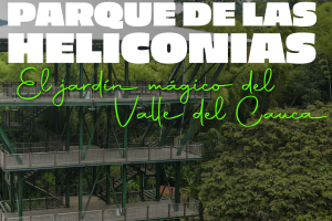 Centro de Educación Ambiental Parque de las Heliconias > Documentos (Paragraphs)