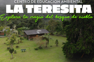 Centro de Educación Ambiental La Teresita > Documentos (Paragraphs)