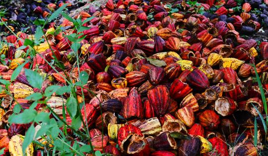 "AQUÍ SE PREPARA EL MEJOR CHOCOLATE DEL MUNDO"