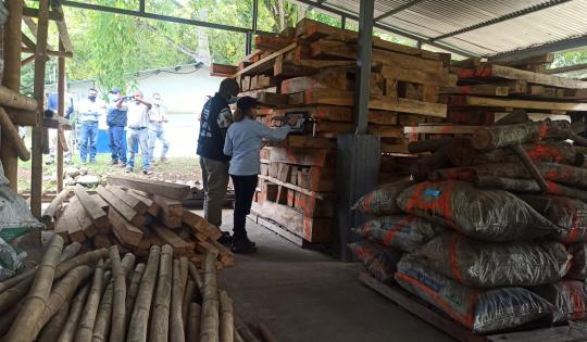 CAMBIA EL PAPEL POR LA LEGALIDAD DIGITAL. CONOCE EL LIBRO DE OPERACIONES FORESTALES EN LÍNEA