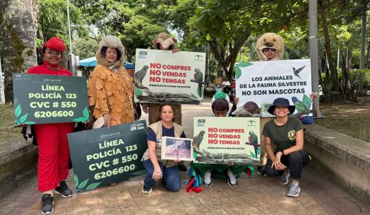 “¡ALTO, FAUNA EN LA VÍA!”: LA CVC INVITA A PROTEGER LA VIDA SILVESTRE EN CARTAGO Y EL NORTE DEL VALLE