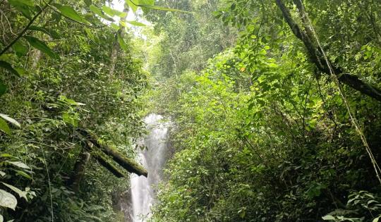 EL CANTO DE LAS AVES DESPIERTA LA CONCIENCIA DE NIÑOS Y JÓVENES EXPLORADORES EN BUGA