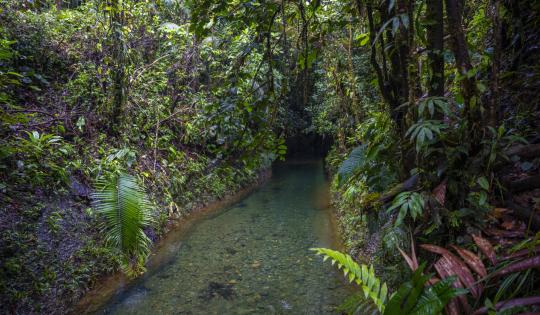 ¡POR PRIMERA VEZ EN TV! EL DOCUMENTAL QUE MUESTRA 70 JOYAS DE NUESTRA BIODIVERSIDAD