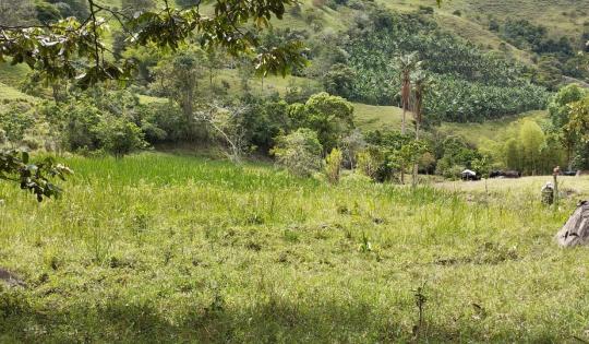 COMUNIDAD DE EL CAIRO CONFIRMA LA PUREZA DE SUS AGUAS
