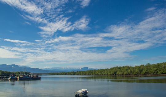 EL MAR LLEGA A CALI EN LA SEMANA DE LA BIODIVERSIDAD