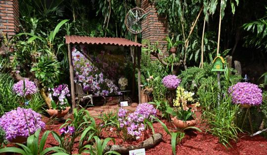 INICIÓ CALIORQUÍDEAS 2025