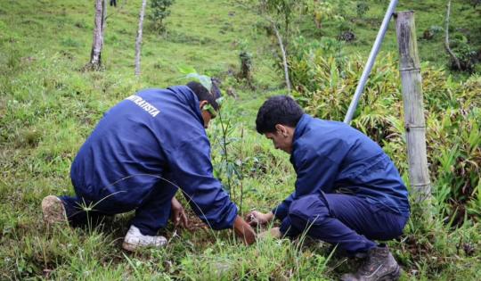 CADA ÁRBOL, UNA PROMESA. MÁS DE 7.500 FUERON SEMBRADOS EN EL CENTRO DEL VALLE