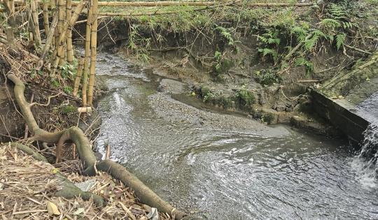 PALMIRA CUENTA CON UN MANANTIAL DE AGUA SUBTERRÁNEA: ASI LO REVELA UN INFORME DE LA CVC    