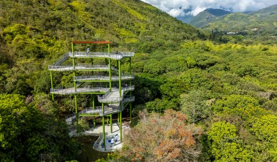 2025: EL AÑO EN QUE NUEVAMENTE LA GESTIÓN AMBIENTAL DE LA CVC DEJÓ HUELLA EN EL VALLE DEL CAUCA