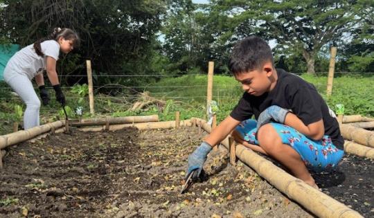 JÓVENES TRANSFORMAN ANTIGUO BOTADERO EN HUERTA COMUNITARIA, GRACIAS A INICIATIVA JUVENIL AMBIENTAL APOYADA POR LA CVC
