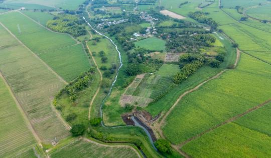 COMUNIDAD, CVC Y ASOCAÑA SE UNEN PARA LA RECUPERACIÓN DEL HUMEDAL EL ESTERO