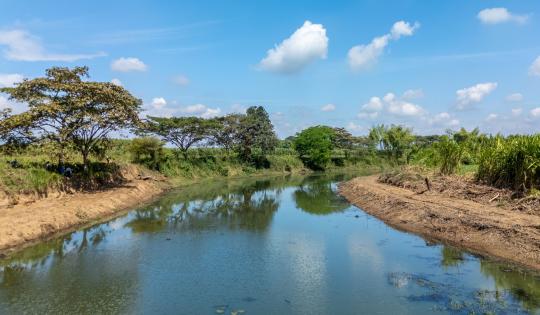 LA CVC INVIRTIÓ $1.700 MILLONES EN LA RECUPERACIÓN Y MANTENIMIENTO DE 23 HUMEDALES 