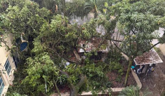 LLUVIAS EN CALI SUPERARON ESTÁNDARES INTERNACIONALES