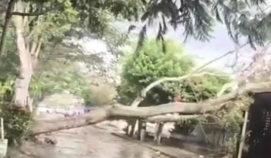 SEPA QUÉ HACER ANTE LAS CONSECUENCIAS NATURALES QUE DEJAN LAS LLUVIAS