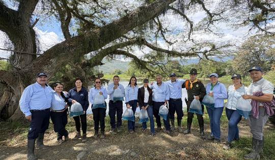 15.000 ALEVINOS DE BOCACHICO FUERON SEMBRADOS EN HUMEDALES DE BUGALAGRANDE