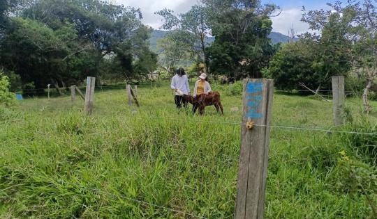 TRABAJOS EN PREDIOS AFECTADOS POR ATAQUE DE FELINOS APUESTAN POR LA COEXISTENCIA