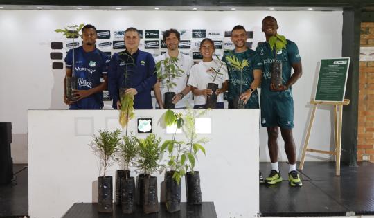 CON PRIMEROS 50 ÁRBOLES DEPORTIVO CALI SE UNE A ‘VALLE MÁS VERDE’ DE LA CVC