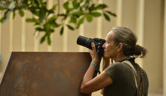 CITY NATURE CHALLENGE CUMPLE 10 AÑOS Y EN CALI SE CELEBRA REPORTANDO VIDA SILVESTRE