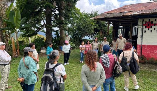 EN SEVILLA, JÓVENES FORTALECEN PROCESOS DE CONSERVACIÓN DE LA RANA RUBÍ