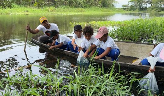 3.000 ALEVINOS DE BOCACHICO SE SEMBRARON EN EL HUMEDAL EL CABEZÓN