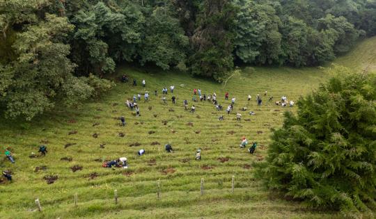 VALLE DEL CAUCA, PIONERO EN COLOMBIA EN LA IMPLEMENTACIÓN DE LA LEY DE ÁREAS DE VIDA