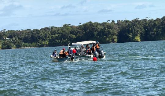AL RESCATE DE BALLENAS, DELFINES, TORTUGAS MARINAS Y TIBURONES BALLENA