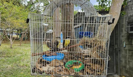 “LAS JAULAS SE MOVÍAN, LOS ANIMALES SE ALERTARON… FUE ANGUSTIANTE”