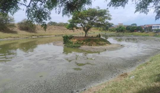 LAGUNAS DE MANZANARES, EN CANDELARIA, REGULAN AGUAS LLUVIAS Y NO SON HUMEDALES: CVC HACE LLAMADO A NO INTERVENIRLAS