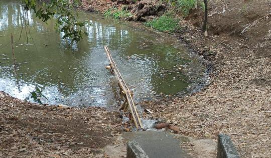 44.000 LITROS DE AGUA ALIVIARON LA SEQUÍA DEL HUMEDAL EL LIMONAR EN CALI