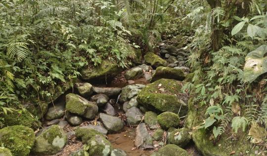 CVC HACE UN LLAMADO A CUIDAR EL AGUA Y A LA PREVENCIÓN DE INCENDIOS FORESTALES