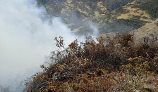 DOS MESES DE LLAMAS EN ZONA RURAL DE BUGA. LA BATALLA NO DA TREGUA