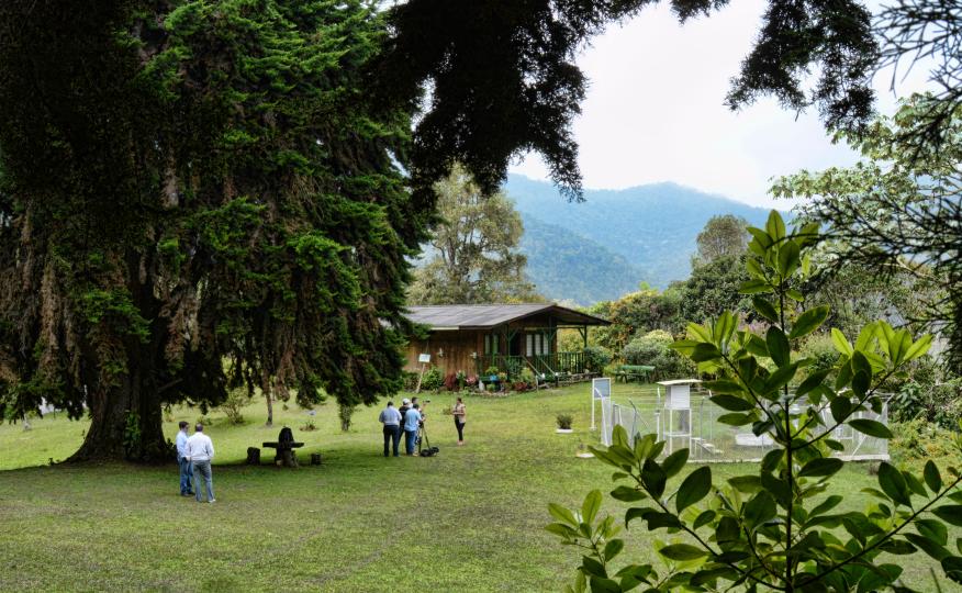 Galería de Imágenes la Teresita