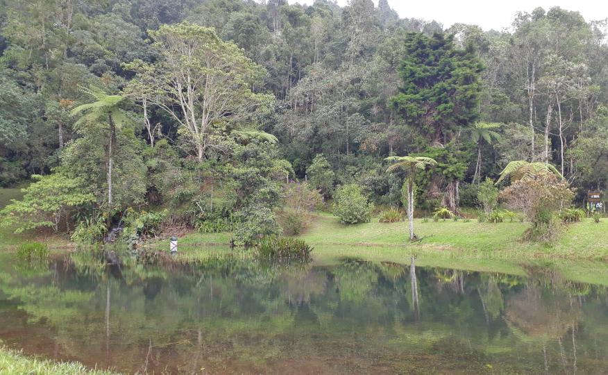 Galería de Imágenes la Teresita