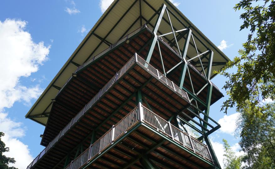 Parque de las Heliconias