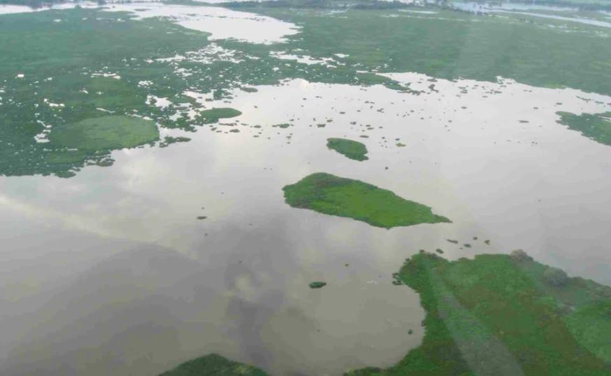 Centro de educación ambiental Buitre del ciénaga - laguna de sonso galería de imágenes 