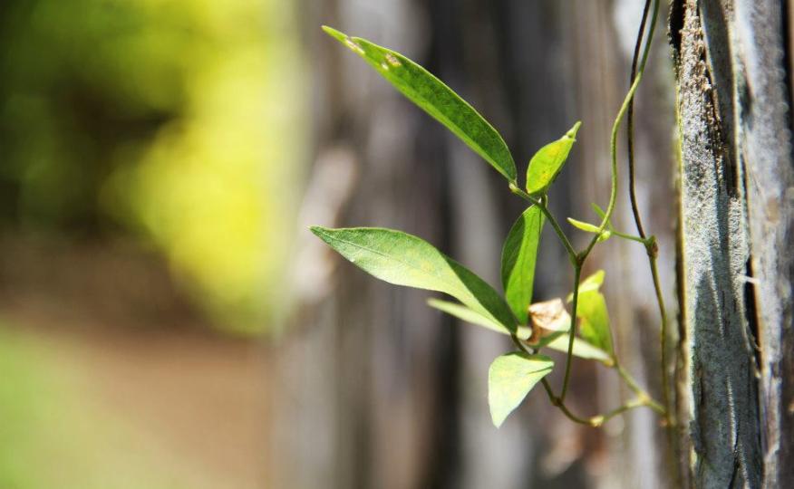 Centro de educación ambiental San Emigdio galería de imágenes 