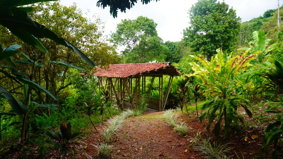 Parque de las Heliconias