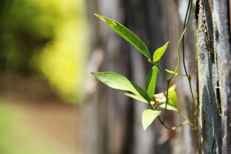Centro de educación ambiental San Emigdio galería de imágenes 